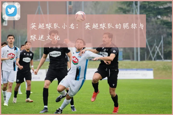英超球队小名：英超球队的昵称与球迷文化